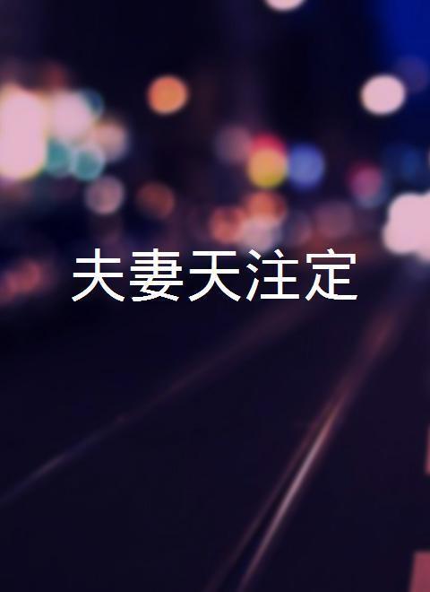 夫妻天注定第146集