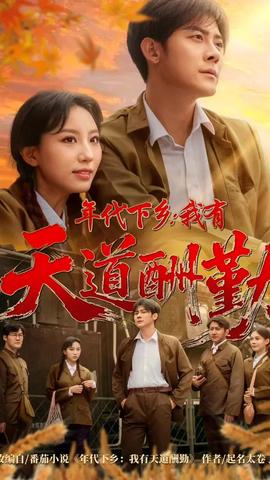年代下乡我有天道酬勤(全集)
